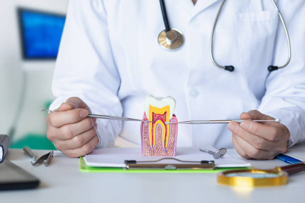 Best Emergency Dental Care for Broken or Chipped Teeth in Liberty Corner, NJ
